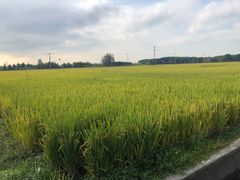-嘉北郊野公园