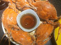 梭子蟹-牛New寿喜烧(虹桥新天地店)