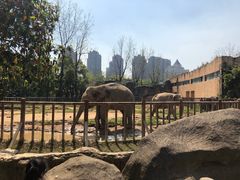 -南昌动物园