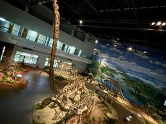 -自贡恐龙博物馆