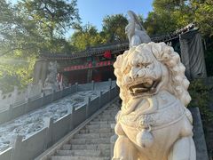 -高尔山公园