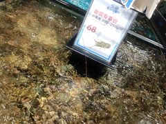 -盒马鲜生(曜一城店)