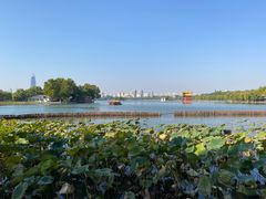 -济南大明湖景区