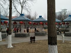 -西清公园
