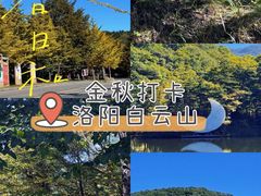 -洛阳白云山景区