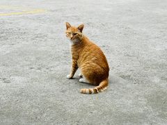-韩家大院生态农庄