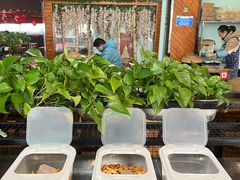 -鲜椒鱼·雅安地标性美食