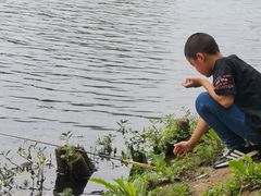 -贵阳市花溪国家城市湿地公园