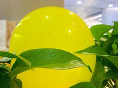 -守柴炉烤鸭(科华中路王府井店)