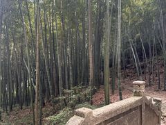 -莫干山风景区