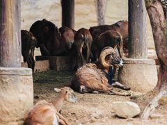 -杭州野生动物世界