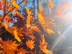 -本溪老边沟风景区