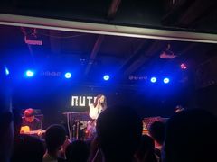 -坚果NUTS