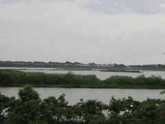 -大湾区中央湿地公园