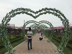 -长廊欢乐园