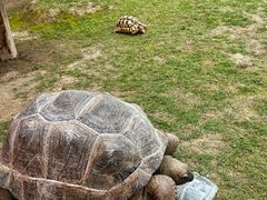 -杭州野生动物世界