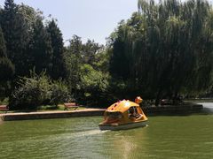 -团结湖公园