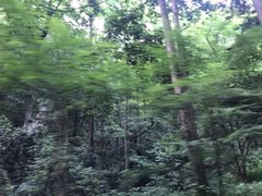 -阿巧茶庄