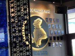 -bluefrog蓝蛙(皇庭广场店)