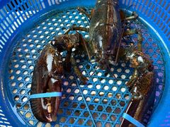 -渔民船说·北塘海鲜·天津菜·海肠捞饭(北塘古镇店)