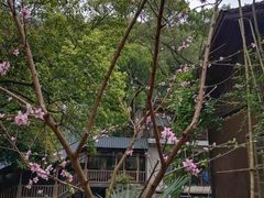 -天怡·鱼工厂(梅溪湖店)