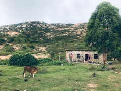 -那琴半岛地质海洋公园