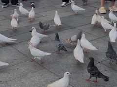 -万达广场(广州番禺店)