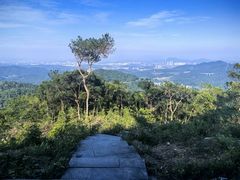 -广州市帽峰山景区