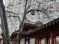 -亮马河饭店翠雅咖啡厅