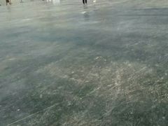 -紫竹院公园冰场