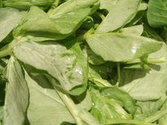 -黔蘑菇四季餐厅(观山湖店)