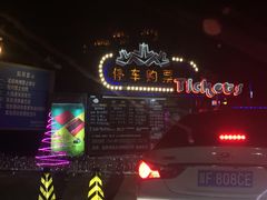 -枫花园汽车电影院(朝阳公园店)