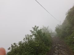 -阳台山自然风景区