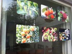 android_upload_pic-依福园农家乐