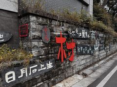 -南山植物园