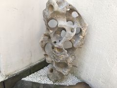 -水岸居湖景农家乐·阳澄湖大闸蟹