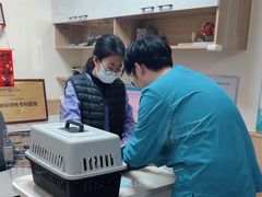 -瑞派宠物医院·24h·骨外科·皮肤科·全科宠物医疗转诊中心(沈阳浑南院)