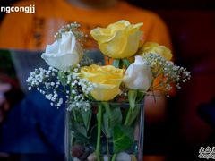 台花~-植物园哈利亚餐厅