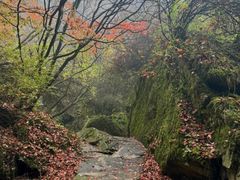 -秦岭终南山世界地质公园翠华山景区