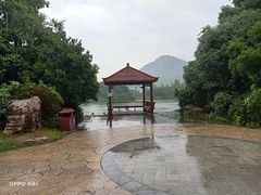 -桃花岛景观公园