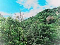 -抱龙峪