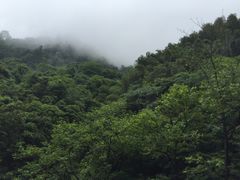 -浙北大峡谷