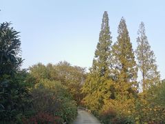 -冶山国家矿山公园