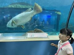 -苏州海洋馆