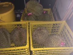 -双福水果批发市场