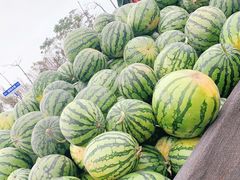-白沙门生态公园