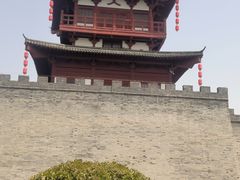 -洛阳市隋唐城遗址植物园