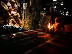 -咖法森林·咖啡  酒吧(天河店)