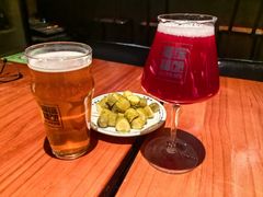 -麦落精酿啤酒餐吧(先农大院店)