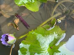 -凯威大酒店(海口秀英码头店)